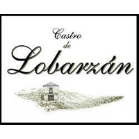 CASTRO DE LOBARZAN