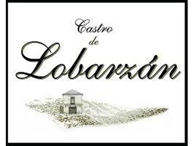 CASTRO DE LOBARZAN