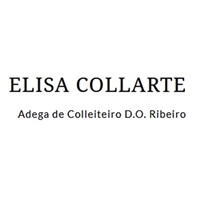 ELISA COLLARTE BERNARDEZ